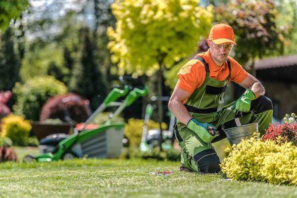 How to Grow Your Landscaping Business In 8 Steps