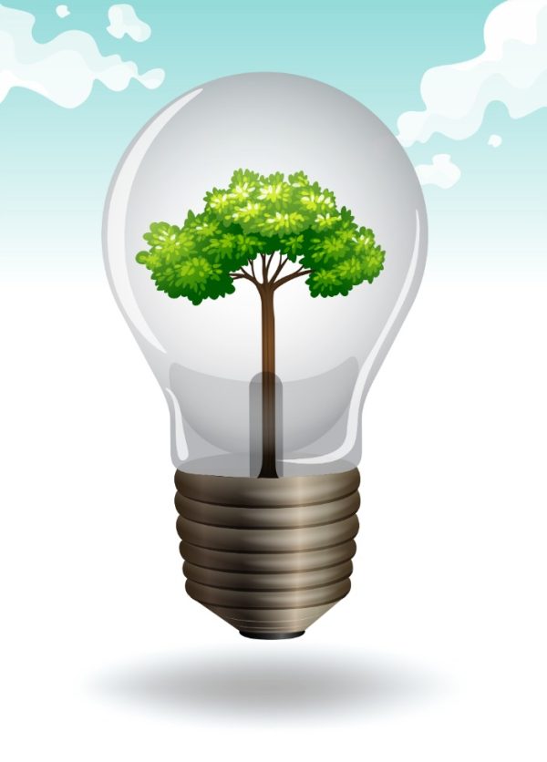 How to Conserve Energy: 13 Simple Tips to Reduce Electricity Use and Save Money 2024