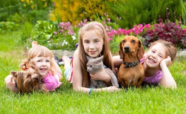 How to Stay Healthy Around Pets and Other Animals Healthy Pets, Healthy People