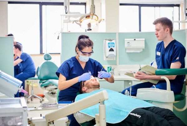 Affordable Dental Insurance How Much Does Dental Insurance Cost?