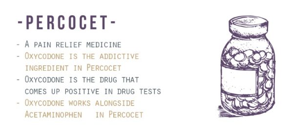 How Does Percocet Affect The Body?