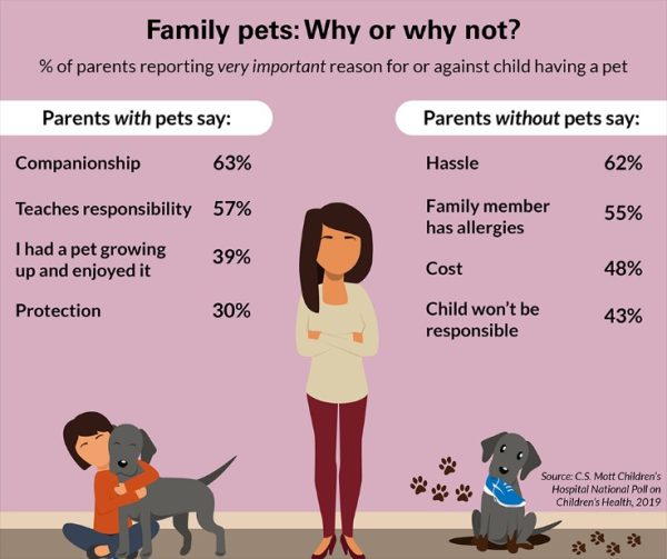 PET Pronunciation in English