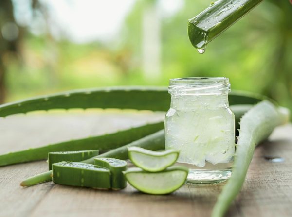 How to use aloe vera: Uses and benefits