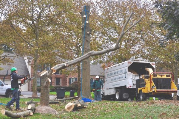 How Much Does Junk Removal Cost? 2024