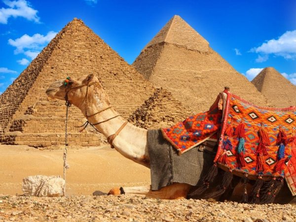 Discover the Wonders of Ancient Civilizations with Egypt Tours