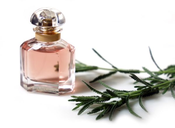 How do you successfully launch a new perfume?