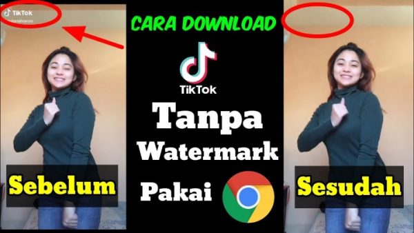 Solusi Terbaik untuk Download Video TikTok Tanpa Watermark