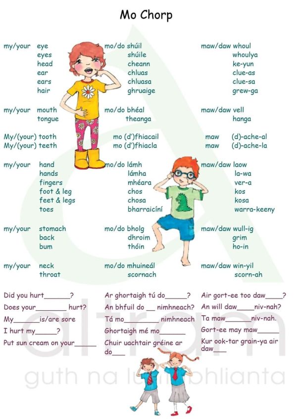 Discover the Beauty of Irish Language